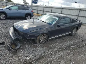 2006 FORD ALL Models