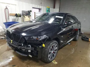2026 BMW X6