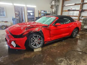 2017 FORD ALL Models