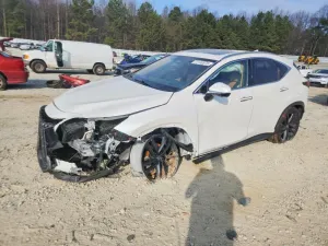 2024 LEXUS NX 450H LU