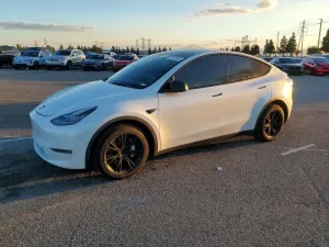 2020 TESLA MODEL Y