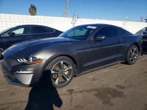 2020 FORD ALL Models