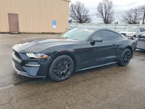 2019 FORD ALL Models