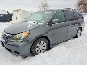 2010 HONDA All Models