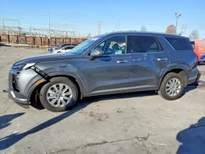 2025 HYUNDAI PALISADE