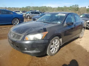 2009 HONDA ACCORD