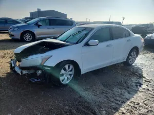 2009 HONDA ACCORD