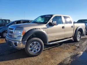 2013 FORD F-150