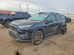 2023 TOYOTA RAV4 WOODL