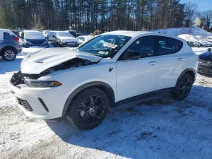 2024 DODGE HORNET R/T