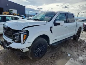 2025 FORD F150 LARIA