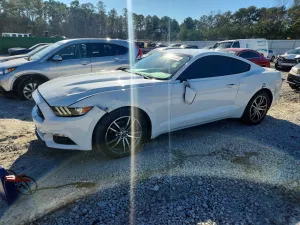 2017 FORD ALL Models