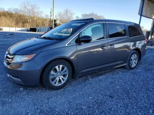 2015 HONDA All Models