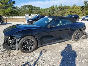 2020 FORD ALL Models