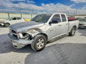 2010 DODGE All Models