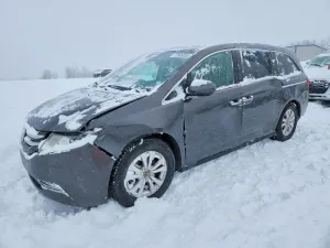 2014 HONDA All Models