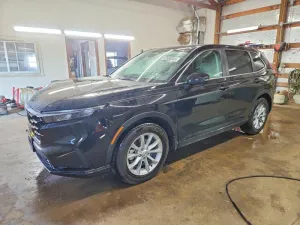 2025 HONDA CRV