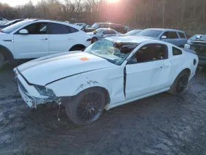 2013 FORD ALL Models