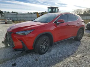 2024 LEXUS NX 350 PRE