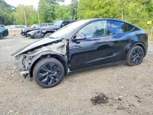 2025 TESLA MODEL Y