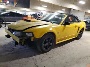 2004 FORD ALL Models