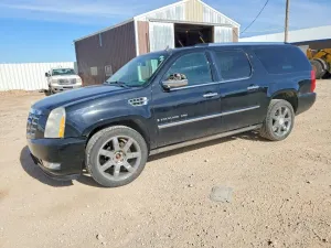 2009 CADILLAC ESCALADE