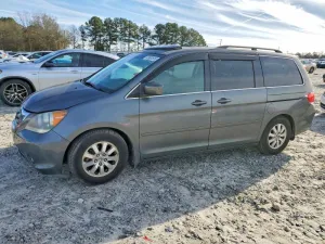 2010 HONDA All Models