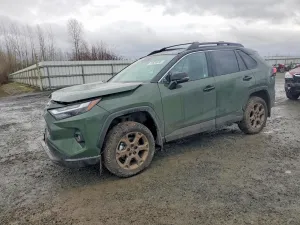 2025 TOYOTA RAV4 WOODL