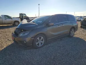 2019 HONDA All Models