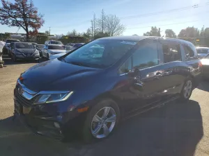 2019 HONDA All Models