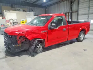 2019 FORD All Models