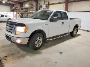 2009 FORD F-150