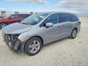 2019 HONDA All Models