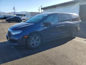 2021 HONDA All Models