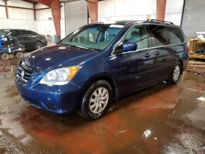 2010 HONDA All Models