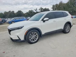 2024 HONDA CRV