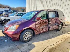 2008 HONDA All Models