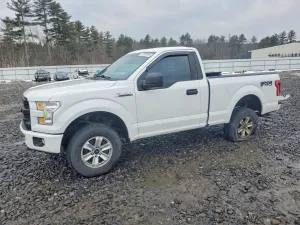 2017 FORD All Models