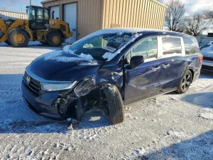 2022 HONDA All Models