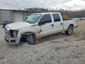 2014 FORD All Models