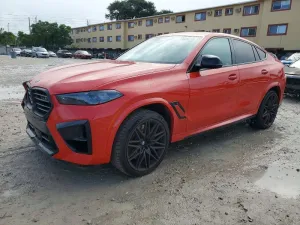 2025 BMW X6