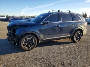 2025 KIA TELLURIDE