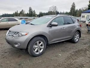 2010 NISSAN MURANO