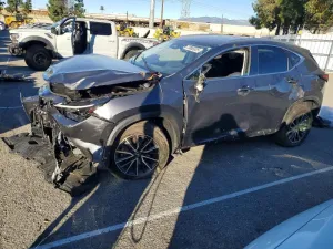 2024 LEXUS NX 350H BA