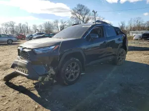 2024 TOYOTA RAV4 WOODL