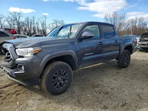 2023 TOYOTA All Models