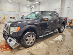 2010 FORD F-150