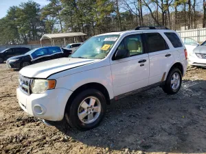 2010 FORD ESCAPE