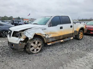 2006 FORD All Models