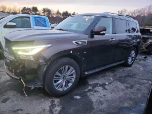 2019 INFINITI QX80